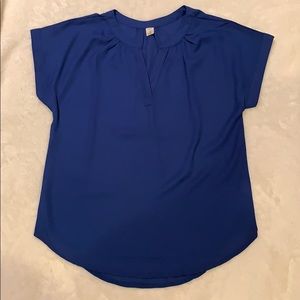 Blue Blouse